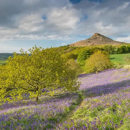 Holiday home Luxury With Stunning Views And Hot Tub
